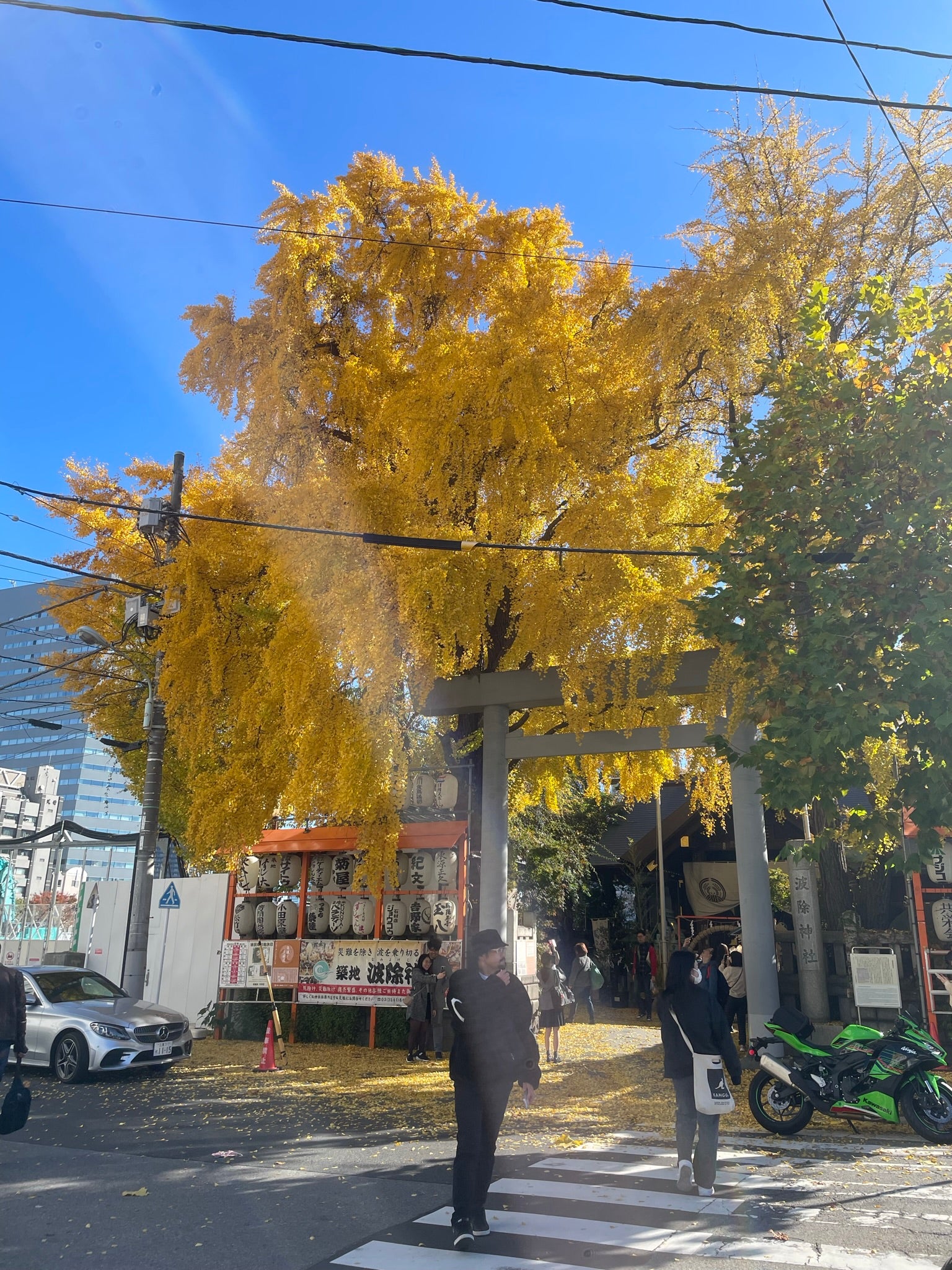 #131 將工作放手給同事(08/12/2024)