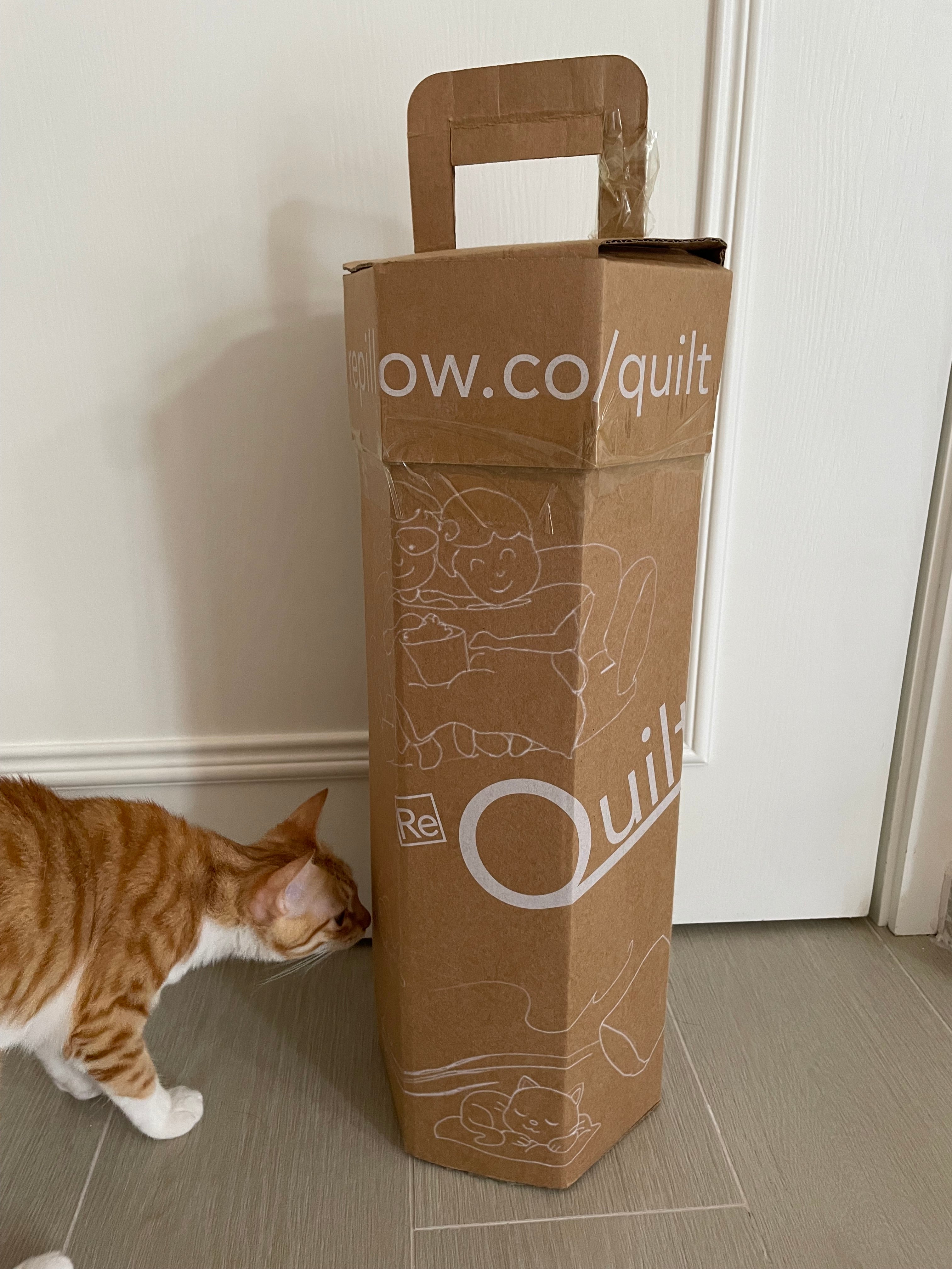 #052 不斷 send email 的一週(28/05/2023)