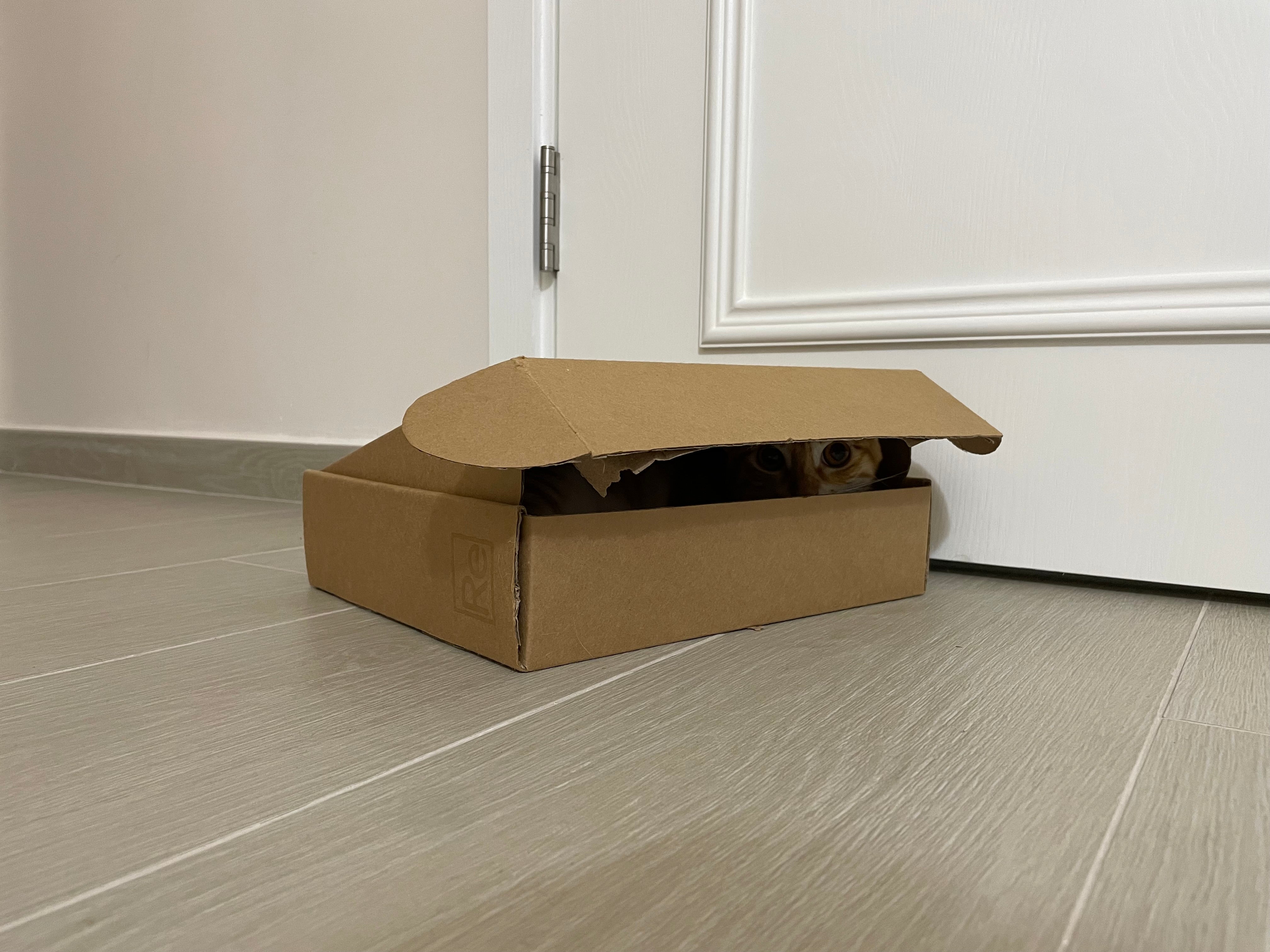 #058 Re Pillow 2 斷貨、Re Quilt 2 一星期、再訪廣東、冬季版 Re Quilt 2(09/07/2023)