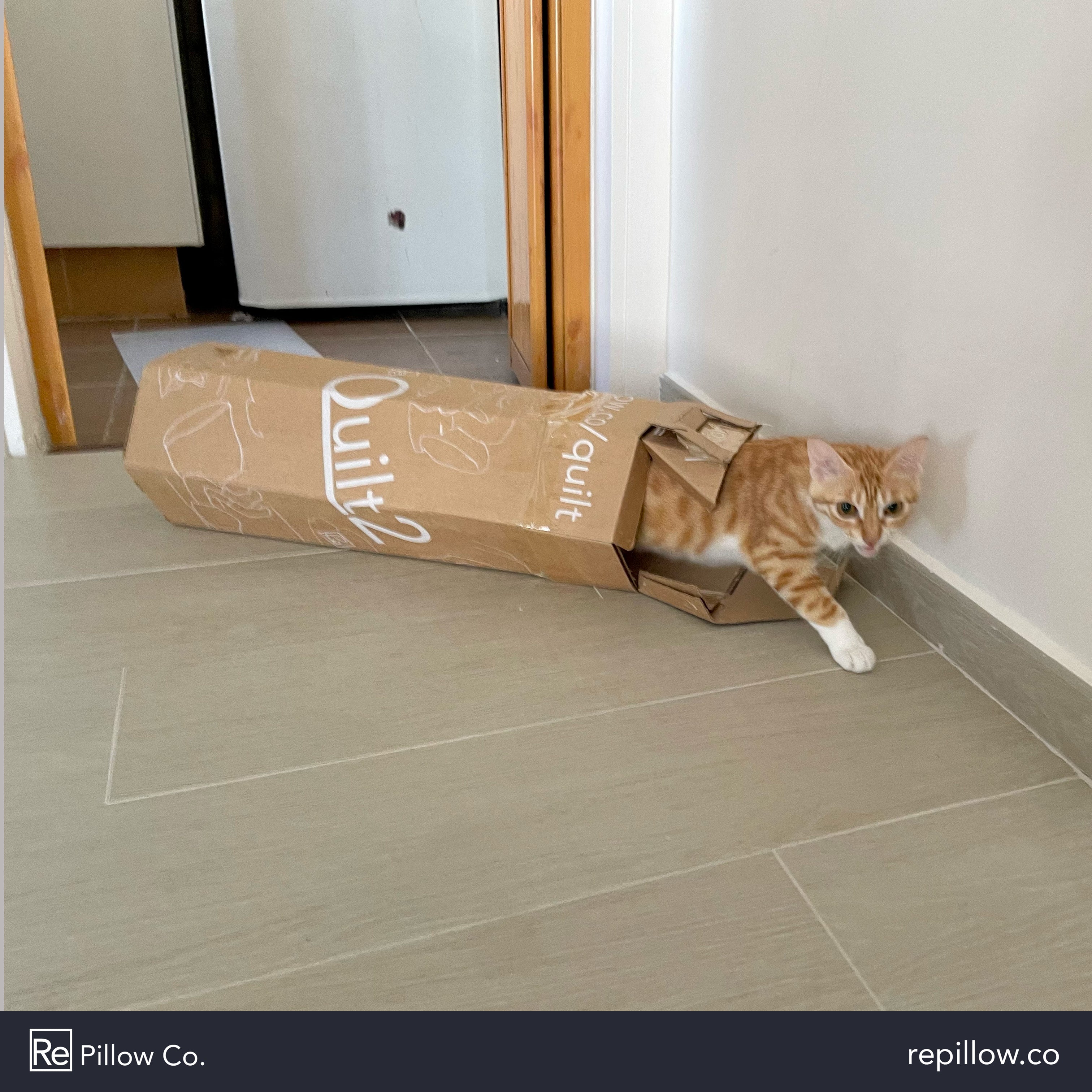 #057 香水賊、RQ2 正式推出、感謝支持的每一位(02/07/2023)