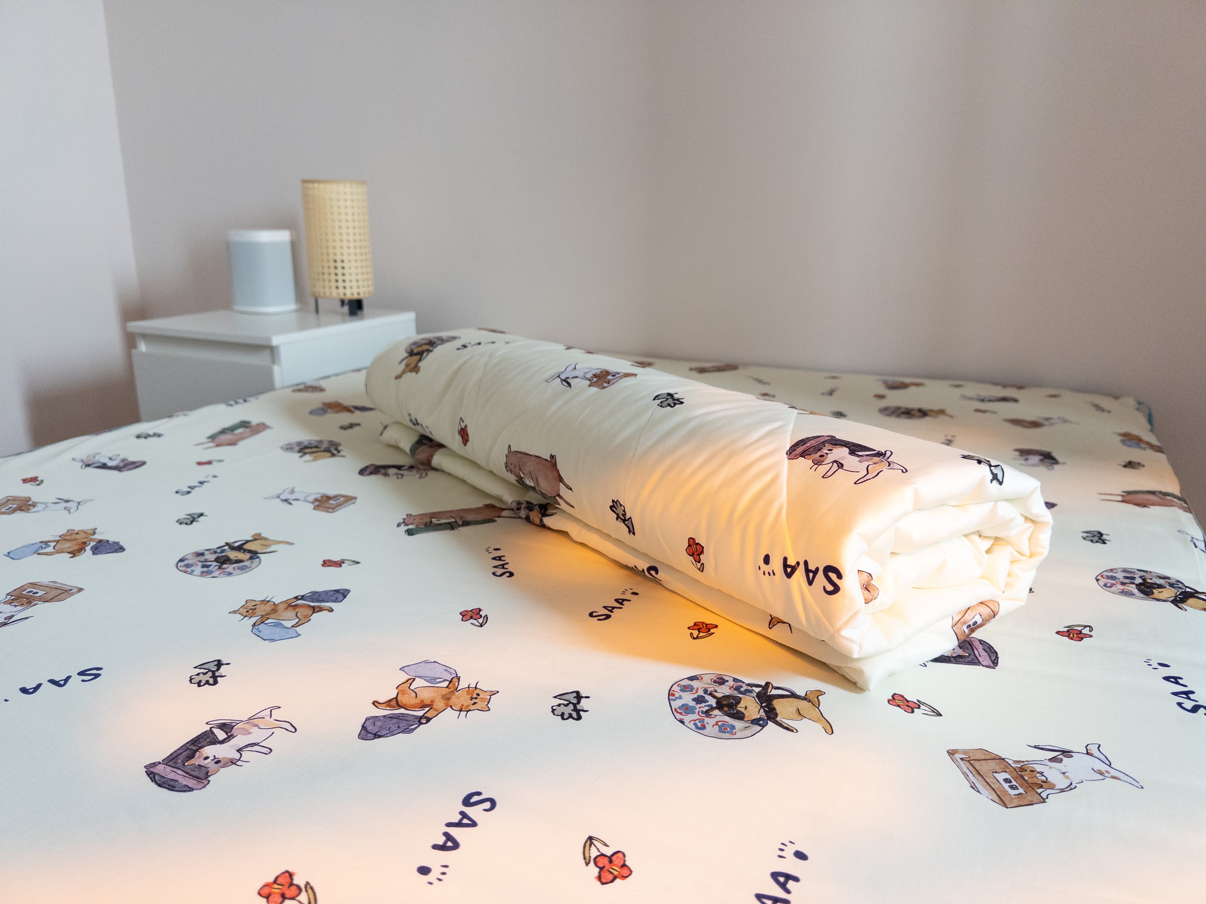 Re Pillow Co. x SAA 冷氣被