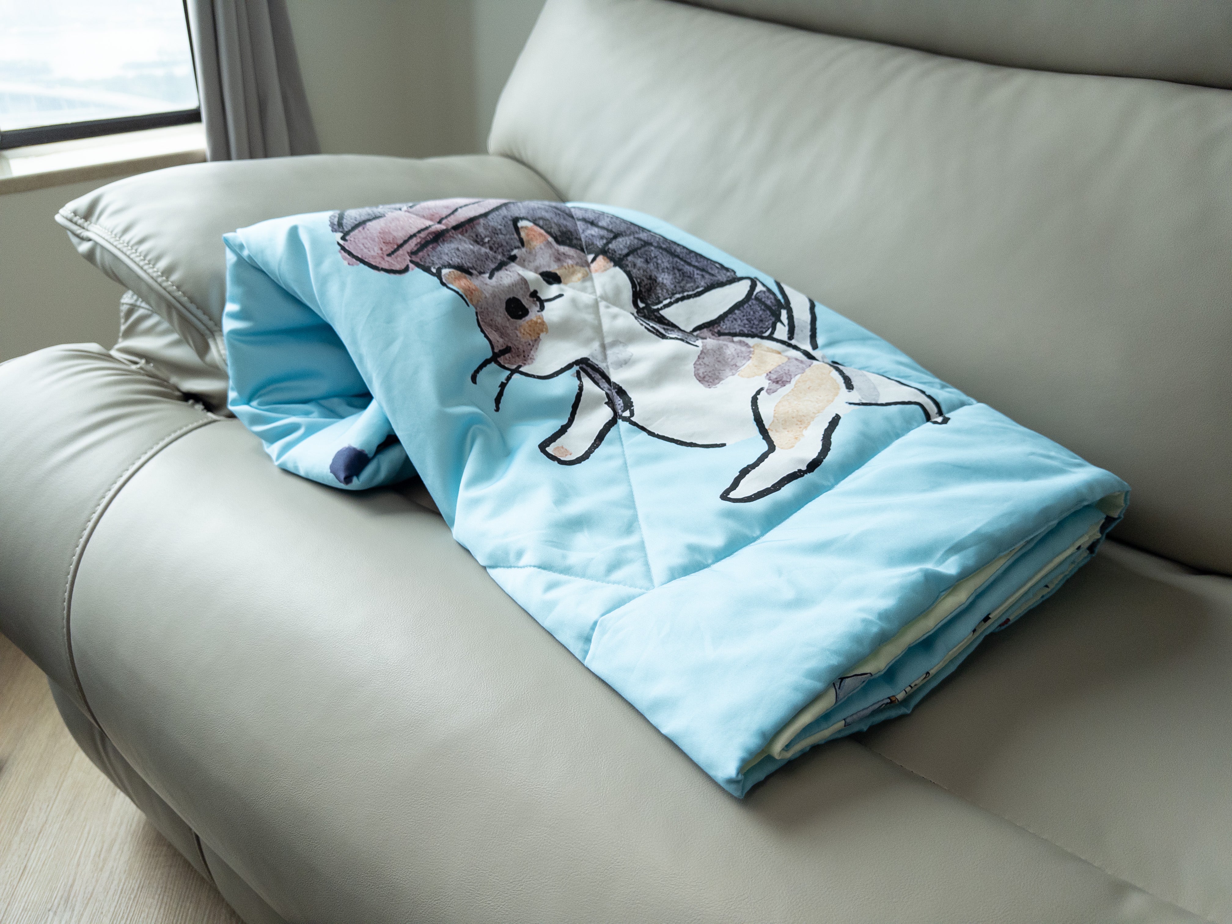 Re Pillow Co. x SAA 梳化被仔
