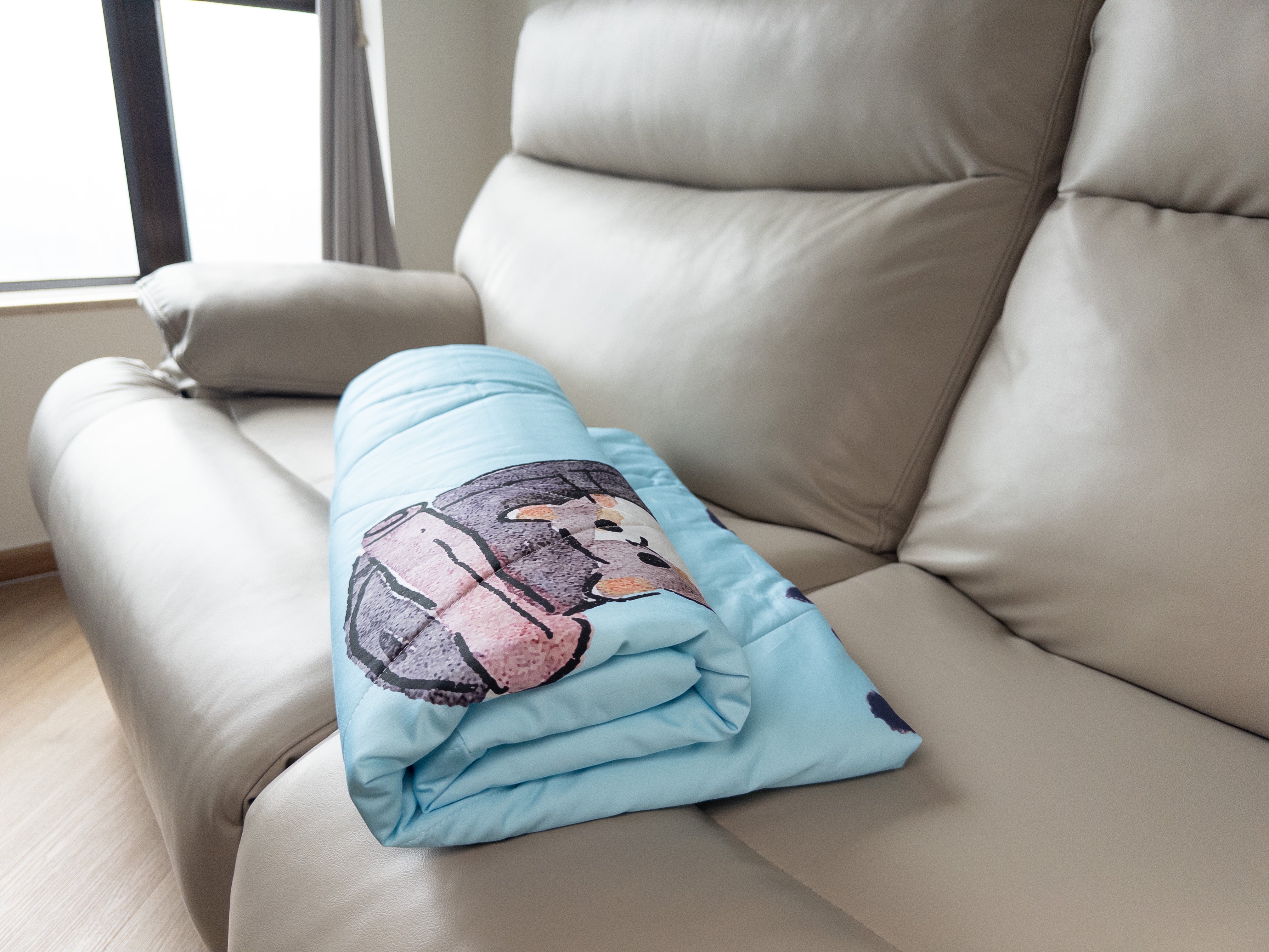 Re Pillow Co. x SAA 梳化被仔