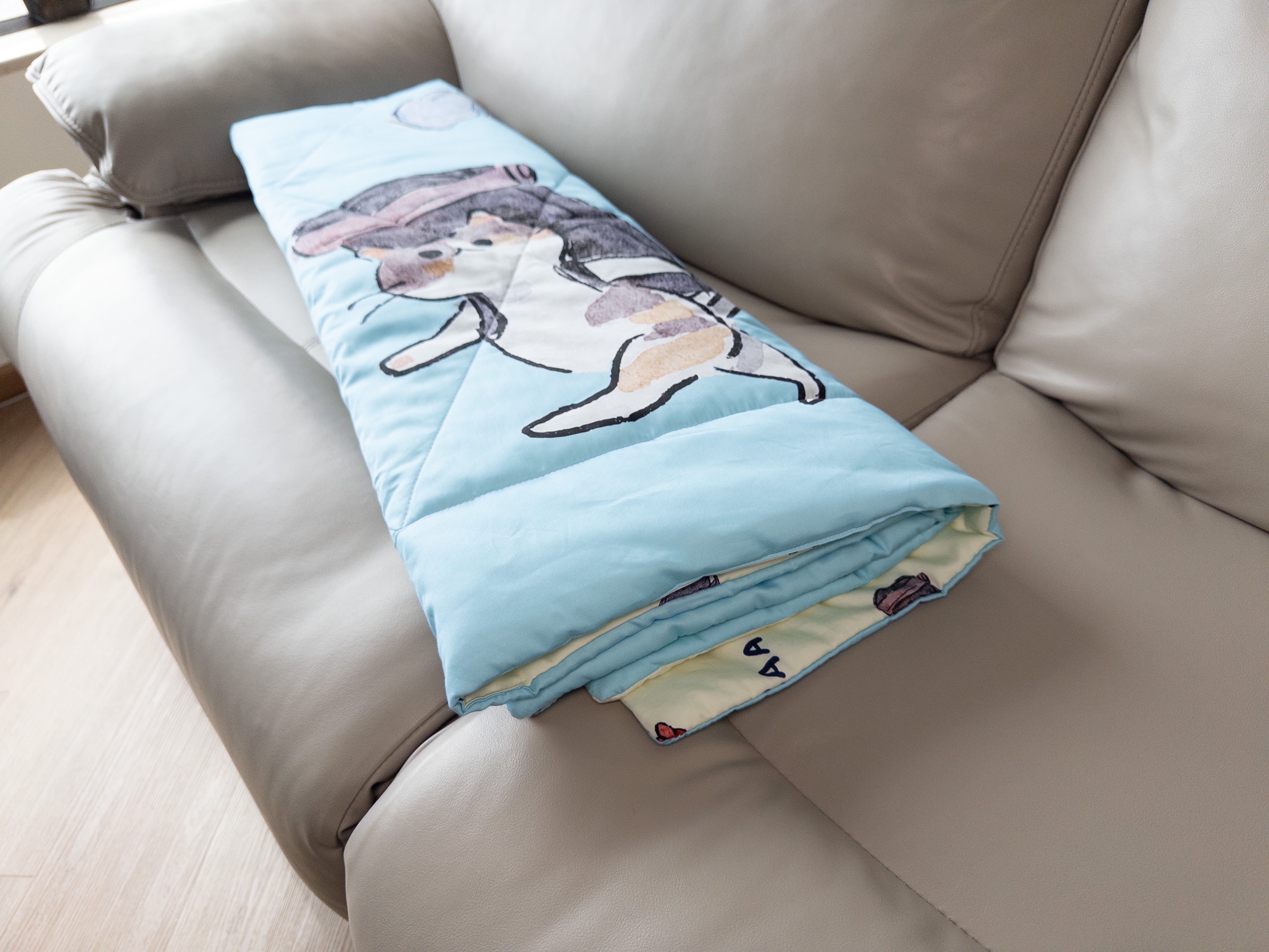 Re Pillow Co. x SAA 梳化被仔
