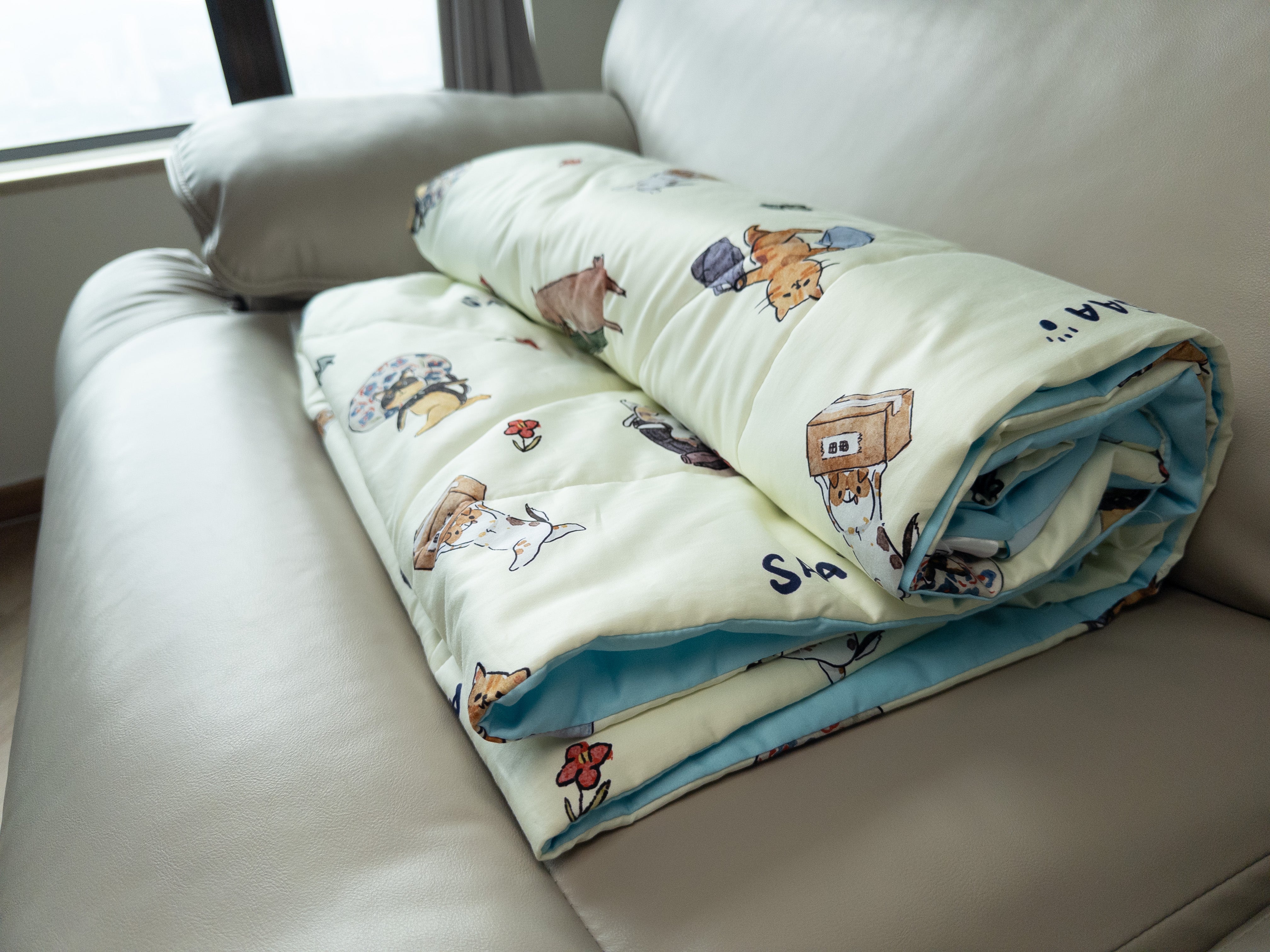 Re Pillow Co. x SAA 梳化被仔