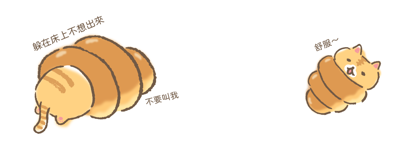 床單牌子推介-Coronya