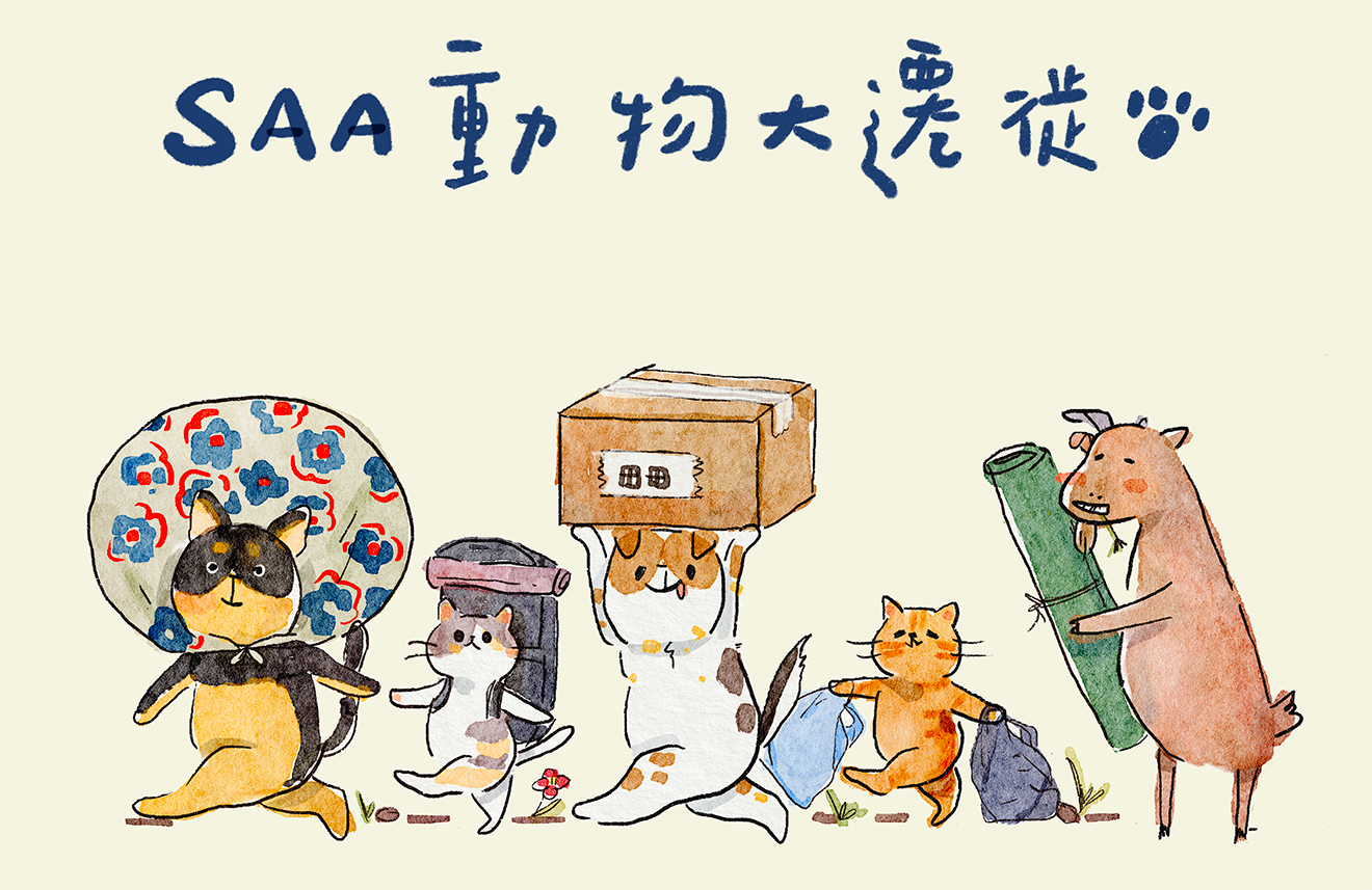 SAA-保護遺棄動物協會-床上用品