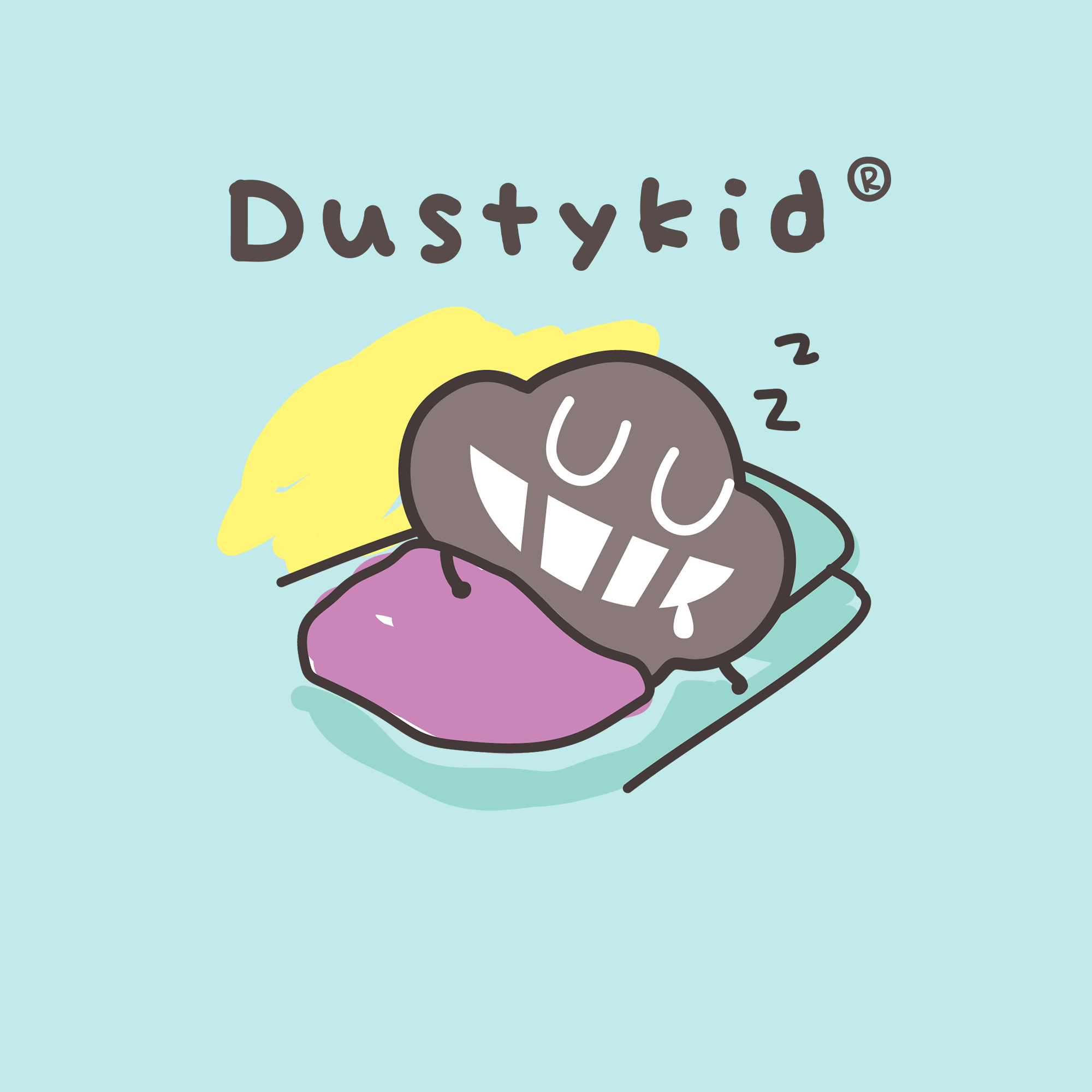 Re Pillow Co. x Dustykid®