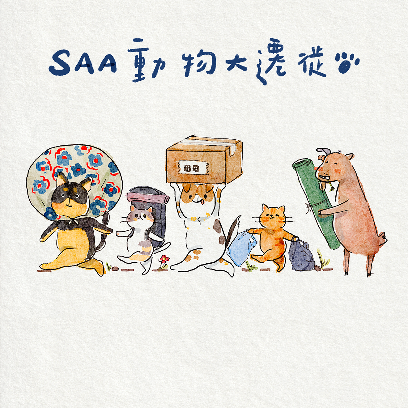 Re Pillow Co. x SAA