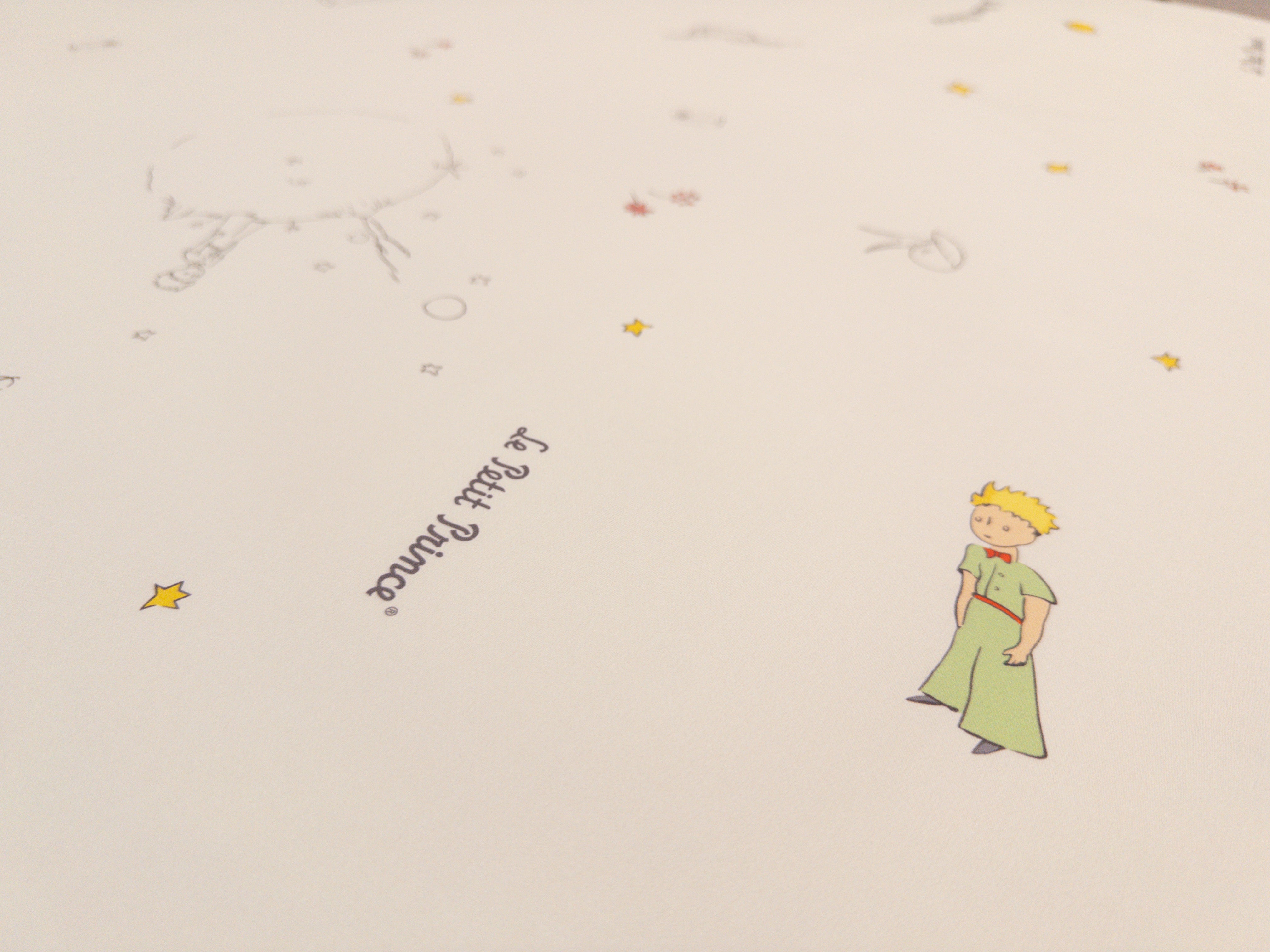 床面連枕頭套兩個｜Gen. 2 全棉｜Le Petit Prince® 小王子 Classic