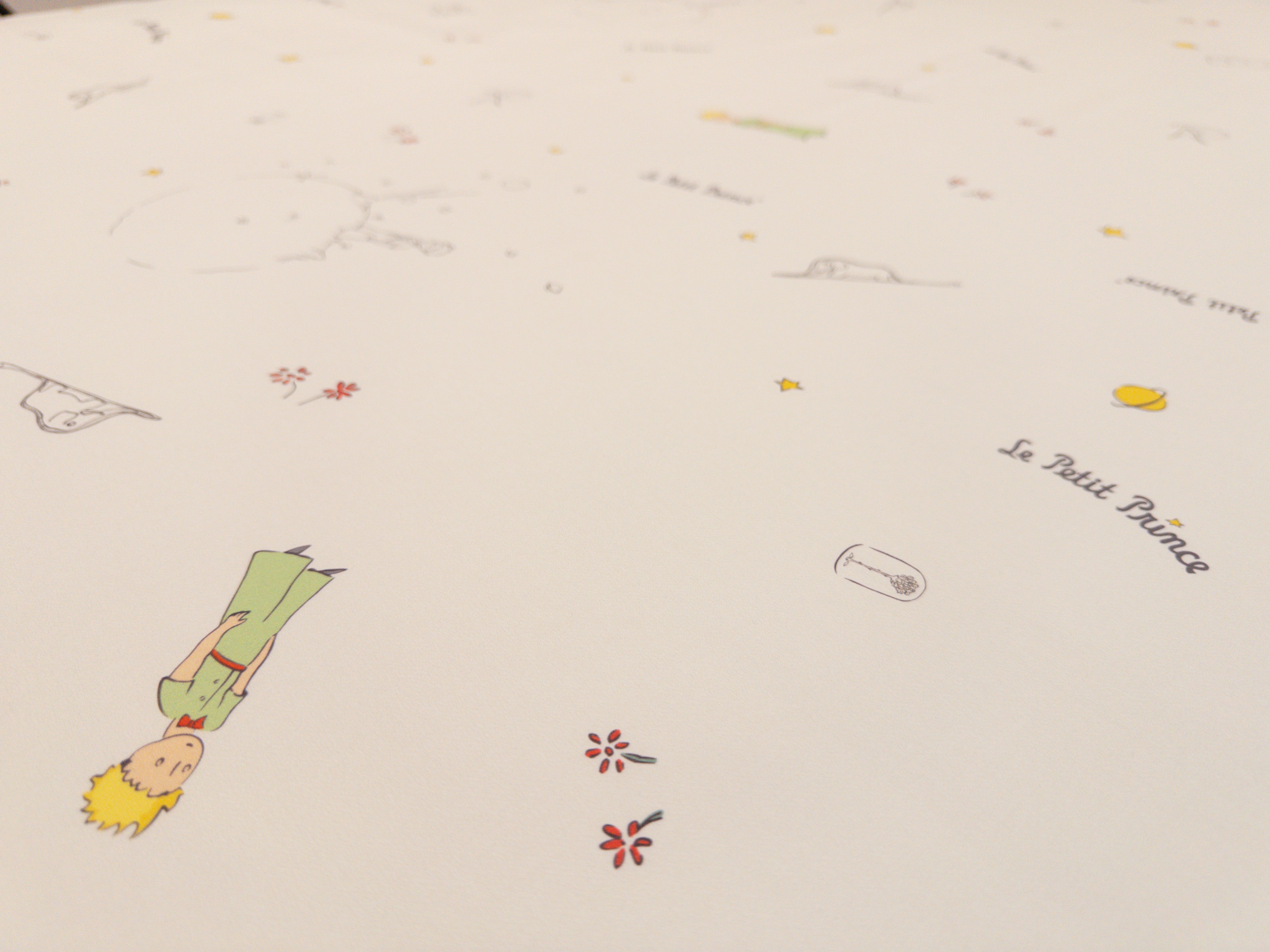 床面連枕頭套兩個｜Gen. 2 全棉｜Le Petit Prince® 小王子 Classic