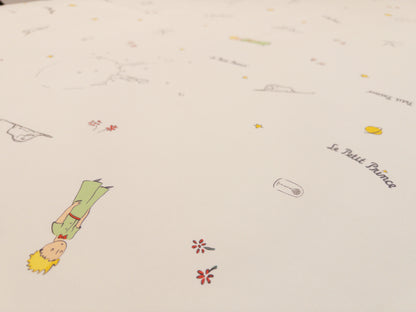 床面連枕頭套兩個｜Gen. 2 全棉｜Le Petit Prince® 小王子 Classic